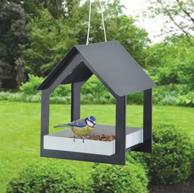 Image de Mangeoire à oiseaux suspendue anthracite