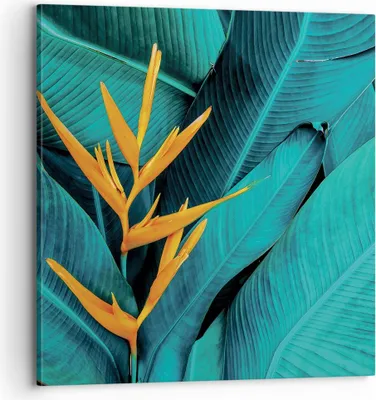 Produktbild von Bild auf Leinwand - Leinwandbild - Einteilig - Blumen Tropen Blätter - 70x70cm - Wand Bild - Wanddeko - Wandbilder - Leinwanddruck - Bilder - Wanddekoration - Leinwand bilder - Wandbild - AC70x70-5116