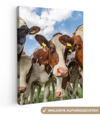 Produktbild von MuchoWow® - Leinwandbilder - Kühe - Tiere - Wiese - Natur, Wandbild, Wanddeko Bilder Wohnzimmer, 60x80 cm