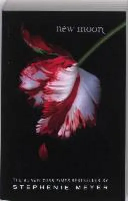 Produktbild von New Moon