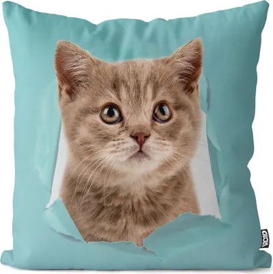 Produktbild von VOID Kätzchenkopf Katze Haustiger Kissenbezug Kissenhülle Polyester wasserfest Outdoor Indoor