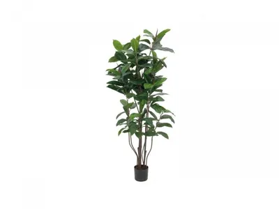 Obrázek produktu pro EUROPALMS Gumovník, umělá rostlina, 150 cm (82600151)