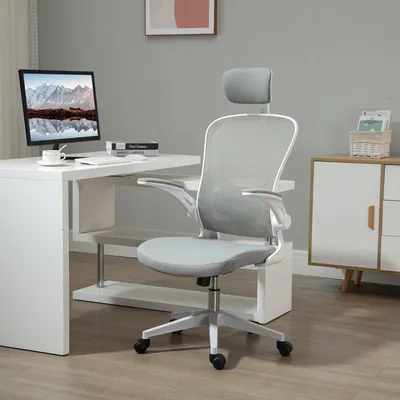 Produktbild von Bürostuhl ergonomisch, Schreibtischstuhl mit Lordosenstütze, Netzrücken, Grau | 65×64×122 cm | Wippfunktion | klappbare Armlehnen