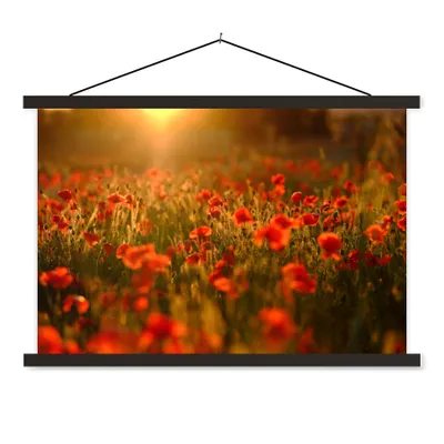 Produktbild von MuchoWow® Textilposter Orangefarbenes Leuchten über den Mohnblumen auf dem Feld 90x60 cm mit schwarzem Rahmen - Aufhängungssatz