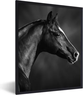 Produktbild von MuchoWow® Gerahmtes Poster Pferd - Tiere - Schwarz - Weiß - Porträt 60x80 cm - Poster mit Schwarzem Bilderrahmen Wandposter Rahmen Foto Bilder - Premium - Wanddeko Wohnzimmer
