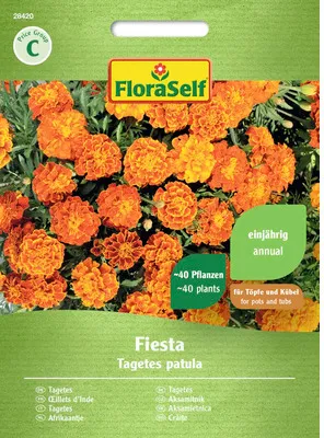 Obrázek produktu pro Afrikán Aksamitník Fiesta FloraSelf