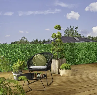 Produktbild von Sichtschutzhecke Weinblattoptik