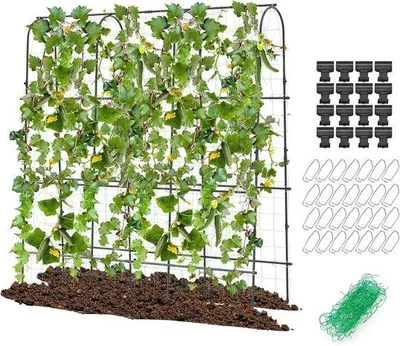 Produktbild von 6x6 Edelstahl Gitter für Kletterpflanzen groß