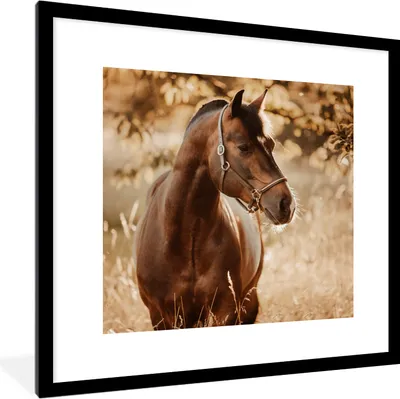 Produktbild von MuchoWow® Gerahmtes Poster Pferd - Sonne - Porträt - Natur - Braun 40x40 cm - Poster mit Schwarzem Bilderrahmen Wandposter Rahmen Foto Bilder - Poster - Plakat im Rahmen