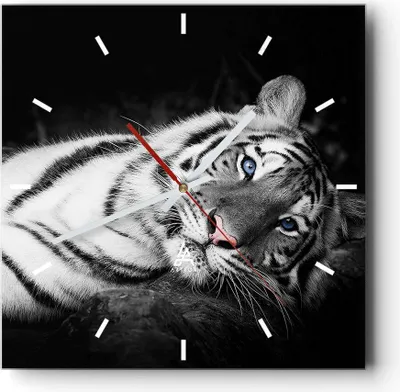 Produktbild von Wanduhr - Quadrat - Glasuhr - Weiß Tiger Schwarz und Weiß - 30x30cm - Schleichendes Uhrwerk - Lautlos - zum Aufhängen bereit - Dekoration Modern - Wanddekoration aus Glas - C3AC30x30-4247