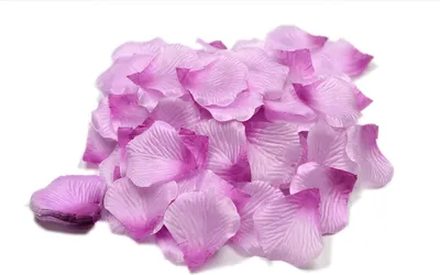 Produktbild von 100 Stück Rosenblüten 5cm, Farbe:hell lila / hell Orchidee 435