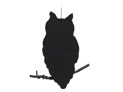 Produktbild von EUROPALMS Silhouette Eule, 62cm