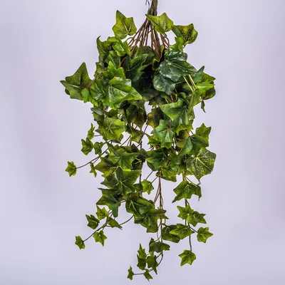 Produktbild von artplants.de Künstlicher Efeubusch, 225 Blätter, grün, 70cm - Efeu Deko - Kunstpflanze Efeu