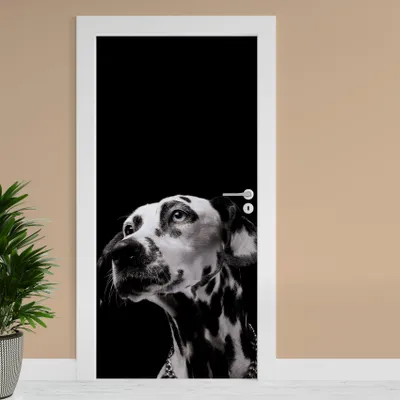 Produktbild von Türfolie "Dalmatiner" 90x200cm Türposter Deko Aufkleber Folie Tapete TF02-19