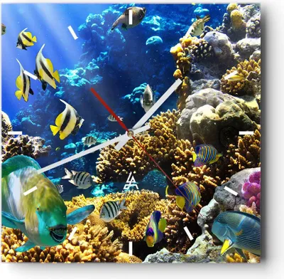 Produktbild von Wanduhr - Quadrat - Glasuhr - Korallenriff Ozean Krabbe Fisch - 30x30cm - Schleichendes Uhrwerk - Lautlos - zum Aufhängen bereit - Dekoration Modern - Wanddekoration aus Glas - C3AC30x30-2662