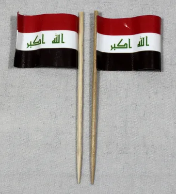 Produktbild von Party-Picker Flagge Irak Papierfähnchen in Spitzenqualität 25 Stück Beutel