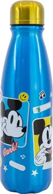 Image de Gourde Disney Mickey Mouse en aluminium 600 ml - Idéale pour les jeunes aventuriers