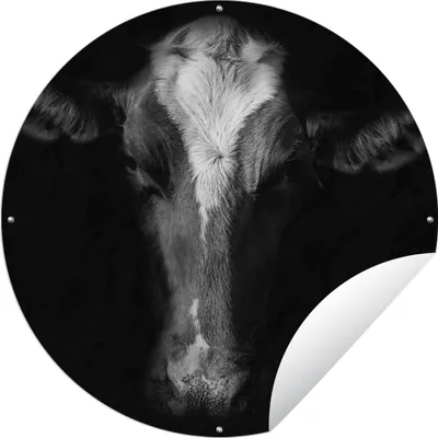 Produktbild von MuchoWow® Gartenposter Outdoor-Poster Rund Kuh - Tiere - Schwarz Ø 90 cm Gartendeko Rundes Poster draußen