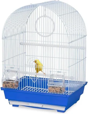 Produktbild von Famanu Vogelkäfig Zubehör - Sitzstangen, Schaukel, Futterbehälter - Blau 495x345x31 cm