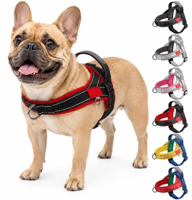 Produktbild von Hundegeschirr Anti Zug mit Griff für Welpen & kleine Hunde, verstellbar, reflektierend, atmungsaktiv, Schwarz Rot XL