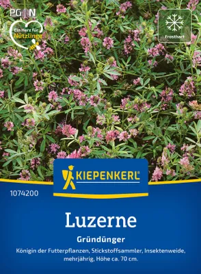 Produktbild von Kiepenkerl Luzernensamen Saat-Alfalfa Medicago sativa 25 m²