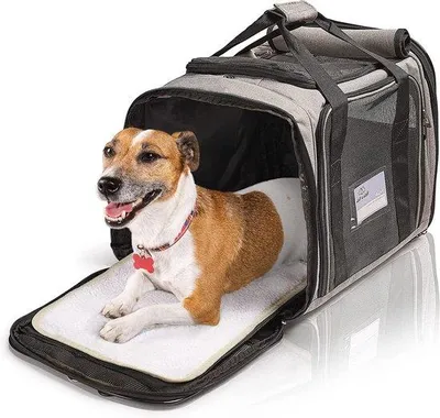 Image de Transport pour animaux de compagnie, couleur gris, idéal pour les voyages en avion et en voiture