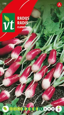 Image de Radis Flamboyant Graines mi-longues - Env. 10 gr | VT_598