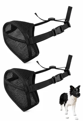 Image de Gamelles pour chiens de taille moyenne, lot de 2