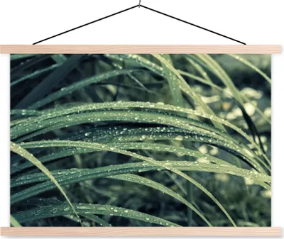 Produktbild von MuchoWow® Textilposter Grünes botanisches Gras nach Regenfällen 60x40 cm mit holzfarbenen Rahmen - Bilder