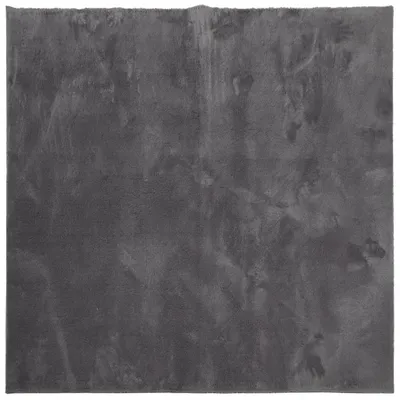 Image de vidaXL Tapis HUARTE à poils courts Souple et lavable Anthracite 240x240 cm