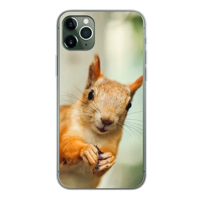 Produktbild von MuchoWow® Handyhülle Schutzhülle Hülle für iPhone 11 Pro Max Eichhörnchen - Lustig - Nuss - Kinder - Jungen - Mädchen - Kind Silikon Softcase Handy Hülle - Schutz