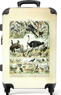 Produktbild von NoBoringSuitcases.com® Großer Koffer - Vögel - Natur - Vintage - Illustration - Kunst - Kombinationsschloss TSA - Hartschalen Trolley 4 Rollen - 72 liter - Reisekoffer - 66 cmKoffer Mittelgroß 67x43x25 cm, 72L,