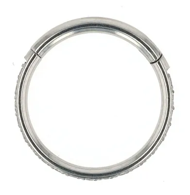 Produktbild von "Cynda" Nasenpiercing aus Edelstahl, Nasenring, Besatz, silberfarben, Stärke 1,2 mm / Ø 8 oder 10 mm