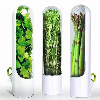 Three clear containers with white bases, each holding fresh produce. The leftmost contains cilantro, the middle contains rosemary, and the rightmost contains asparagus. Each container has a small green loop handle on its side.