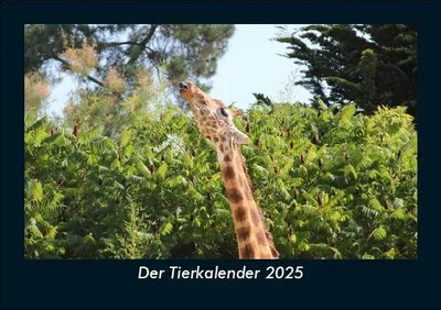 Produktbild von Der Tierkalender 2025 Fotokalender DIN A5