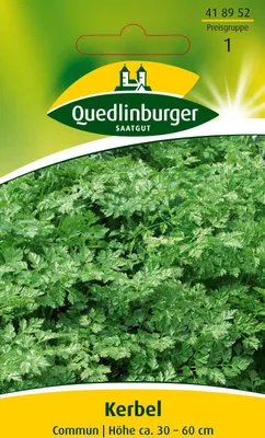 Produktbild von Quedlinburger Saatgut - Kerbel Commun - Samen - 418952