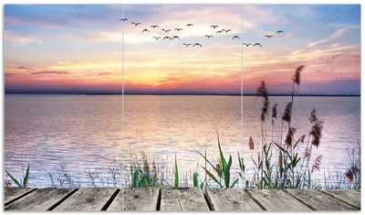 Produktbild von Wallario Herdabdeckplatte aus Glas, Größe 90 x 52 cm 3-teilig, Motiv Seepanorama mit Schilf und fliegenden Vögeln