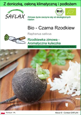 Zdjęcie produktu dla SAFLAX - Garden to go - Bio - Czarna Rzodkiew - 100 Nasiona - Z doniczką, pokrywą klimatyczną i podłożem do uprawy - Raphanus sativus