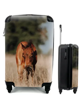 Produktbild von MuchoWow® Koffer Handgepäck Trolley Rollkoffer Kleine Reisekoffer mit 4 Rollen - Pferd - Sonne - Landschaft - Cabin Size < 55x40x23 cm & 55x40x20 cm - Fotokoffer - Kabinenkoffer - Boardgepäck - Reise-Box - Reisekoffer - Reisegepäck - Koffer mit Bild - Trolley für Kinder