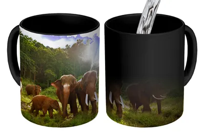 Obrázek produktu pro MuchoWow® Kouzelný pohár Les - Sloni - Světlo 350 ml Barva měnící se pohár Dárkový nápad - foto hrnek