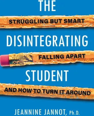 Produktbild von The Disintegrating Student