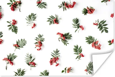 Produktbild von MuchoWow® Poster Winter - Mistelzweig - Rot 120x80 cm - Bilder
