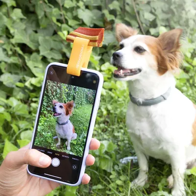Image de InnovaGoods Selfie Clip für Haustiere Pefie