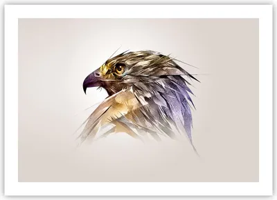 Produktbild von Poster - Poster ohne Rahmen - Adler Vogel Feder - 70x50 cm - Wand Bild - Wanddeko - Wandbilder - Kunstposter - Wandposter - Bilder - Kunstdruck - Wanddekoration - Wandbild - P2XAA70x50-3936