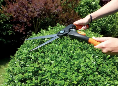 Immagine prodotto di Garten PRIMUS  1212 Garten PRIMUS Ersatzfeder für große Buchsbaumschere