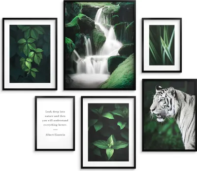 Produktbild von Wandposter für das Wohnzimmer Moderne botanische Bilder
