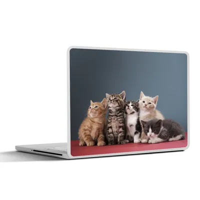 Produktbild von MuchoWow® Laptop Aufkleber Sticker Cover Kätzchen - Blau - Rosa - Mädchen - Jungen - Kind 25x18 cm - Laptop-Deko