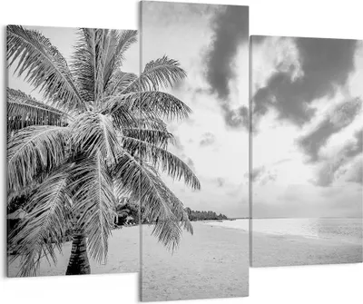 Produktbild von Bild auf Leinwand - Leinwandbild - 3 Teile - Monochrom Strand Wolken - 130x100cm - Wand Bild - Wanddeko - Wandbilder - Leinwanddruck - Bilder - Wanddekoration - Leinwand bilder - CB130x100-4677