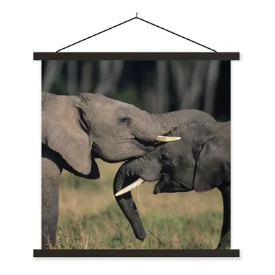 Produktbild von MuchoWow® Textilposter Elefant - Tiere - Grau - Natur 60x60 cm mit schwarzem Rahmen - Posteraufhänger