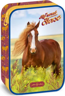 Immagine prodotto di Astuccio per la scuola Ars Una My Sweet Horse - cavallo, marrone-giallo-viola, per bambine